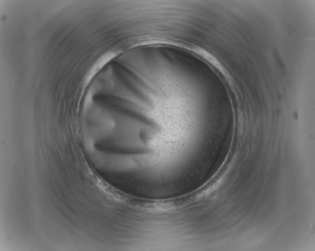 X0000080181145200612221309