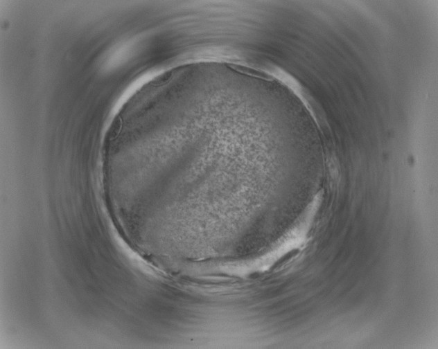 X0000080181147200612221309