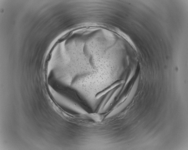 X0000080181148200612221309