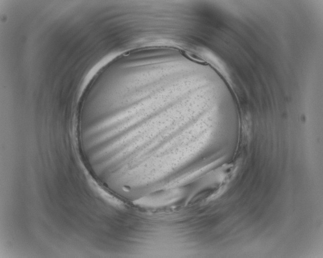 X0000080181149200612221309