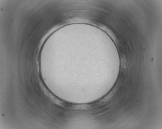 X0000080181150200612221309