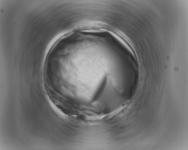 X0000080181152200612221309