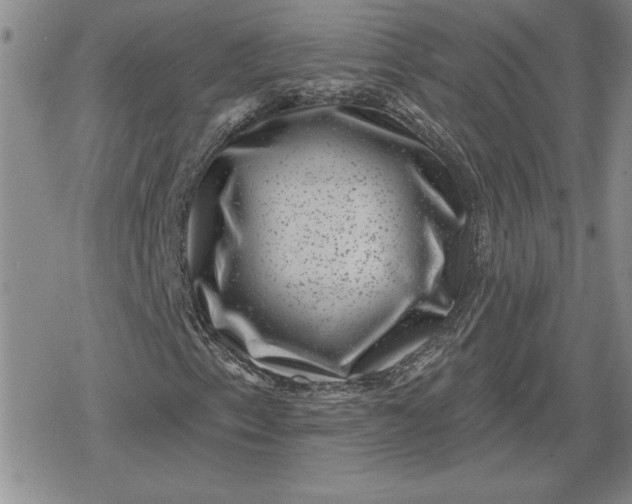 X0000080181153200612221308