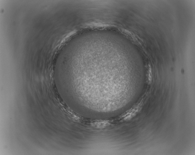 X0000080181157200612221308