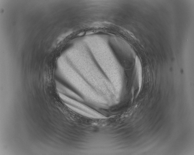 X0000080181158200612221308