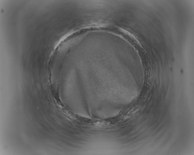 X0000080181160200612221308