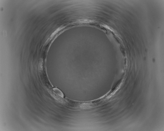 X0000080181161200612221308