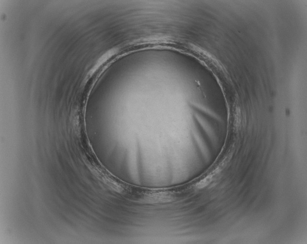 X0000080181162200612221308