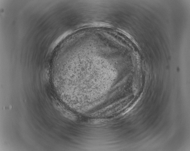 X0000080181163200612221308