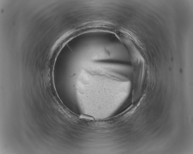 X0000080181164200612221308