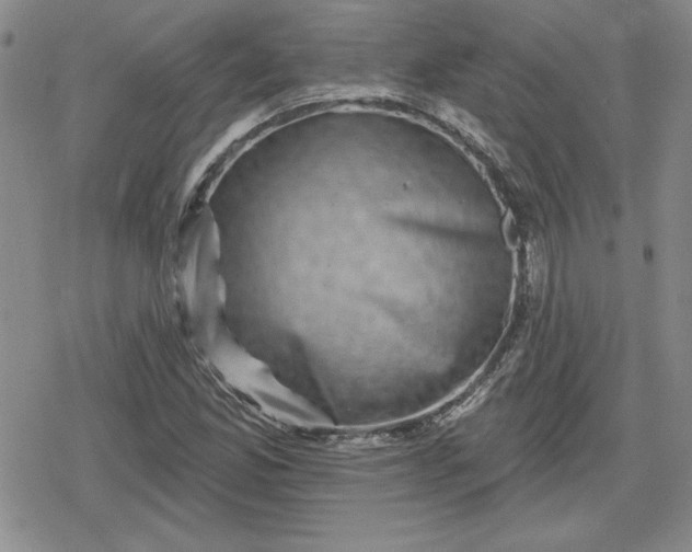 X0000080181165200612221308