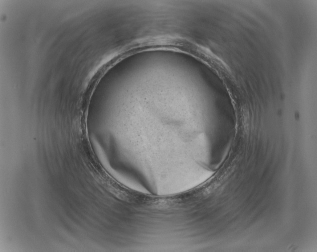 X0000080181166200612221308