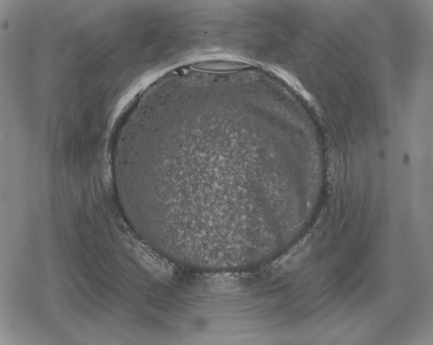 X0000080181167200612221308