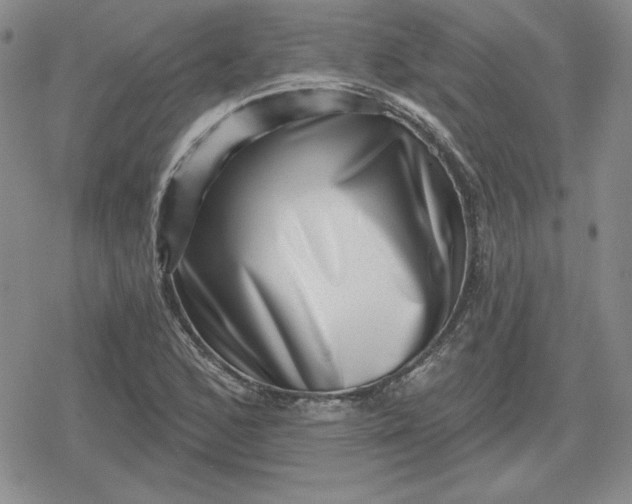 X0000080181168200612221308