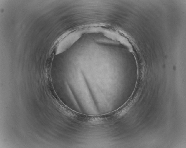 X0000080181169200612221308