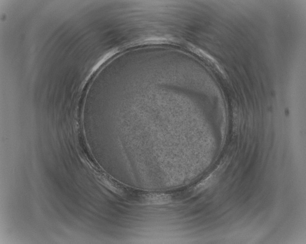 X0000080181170200612221308