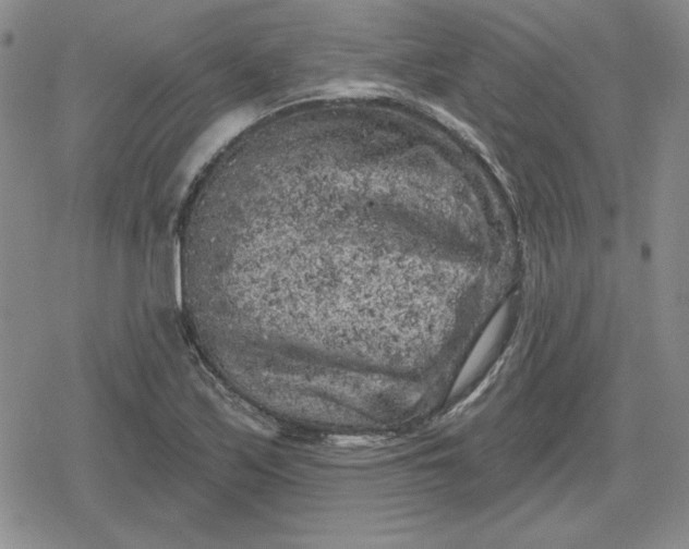 X0000080181171200612221308