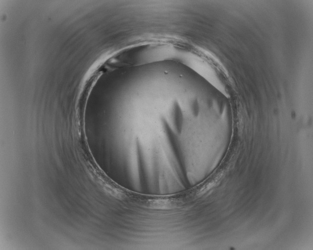 X0000080181172200612221308