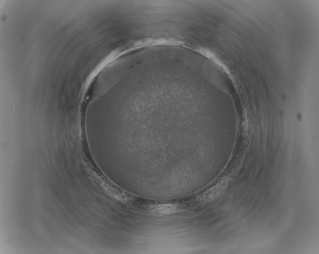 X0000080181173200612221308