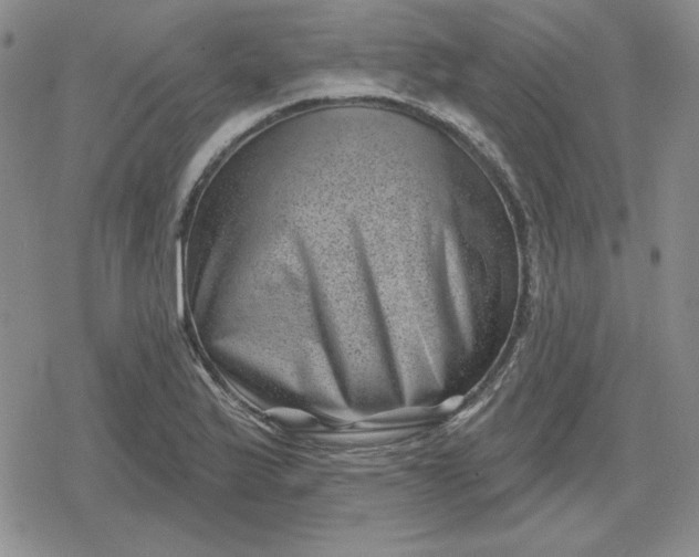 X0000080181175200612221308