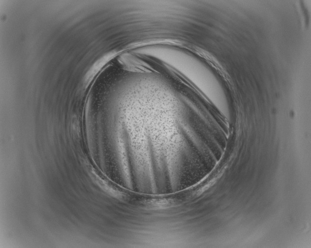 X0000080181177200612221308