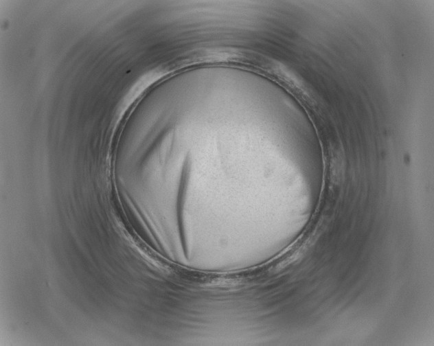 X0000080181178200612221308