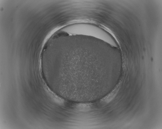 X0000080181179200612221308