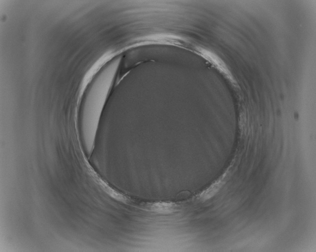 X0000080181180200612221308