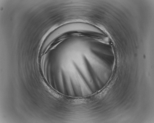 X0000080181181200612221308