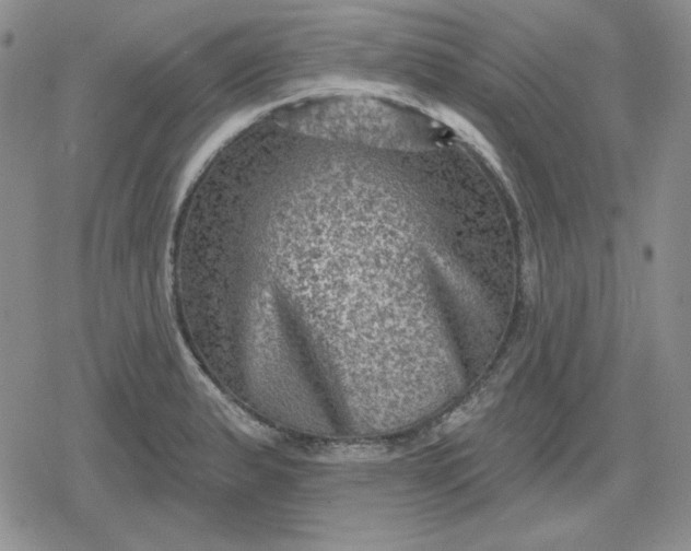 X0000080181183200612221308