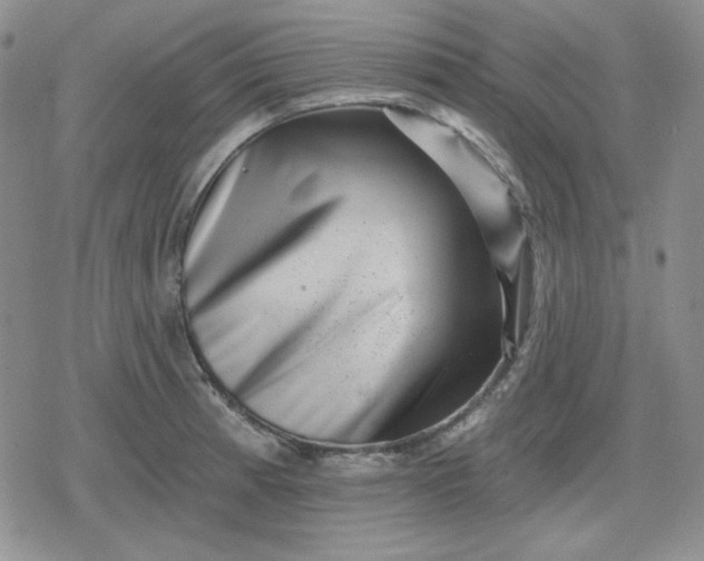 X0000080181185200612221308