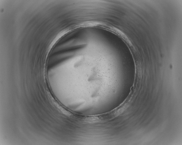 X0000080181186200612221308