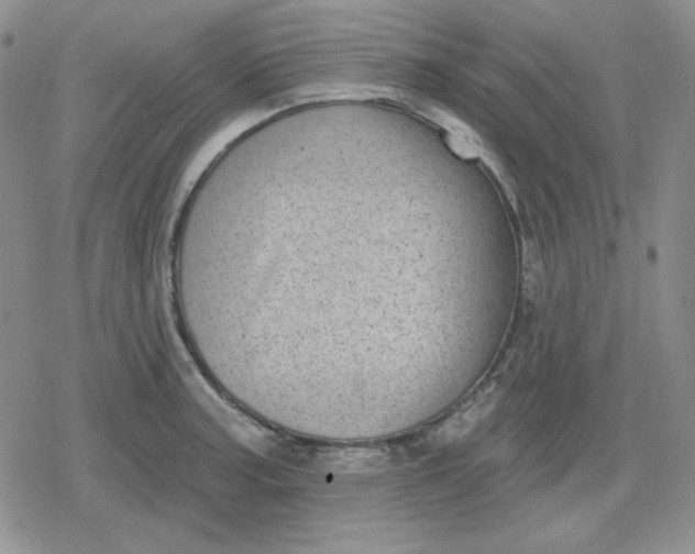 X0000080181187200612221308