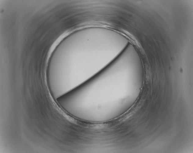 X0000080181188200612221308