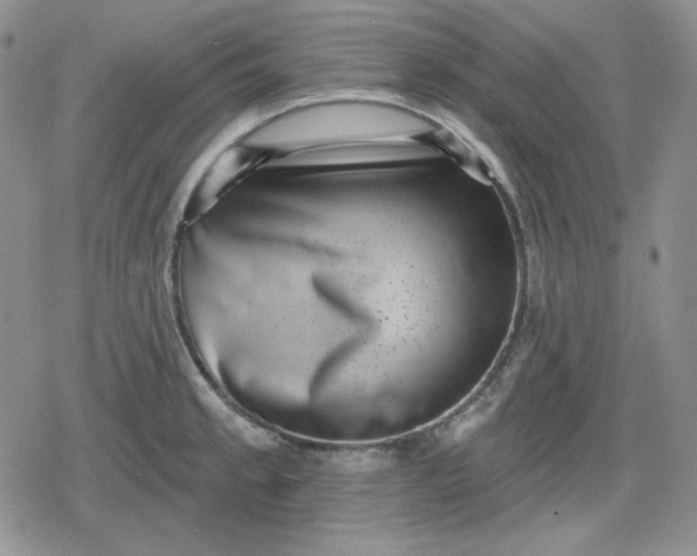 X0000080181189200612221308