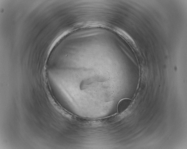 X0000080181190200612221308