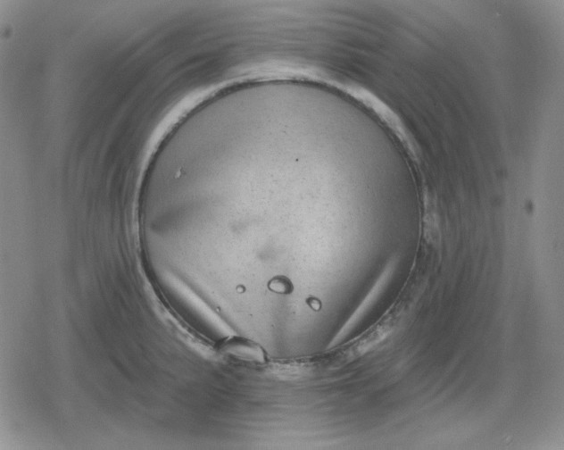 X0000080181191200612221308