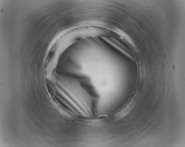 X0000080181192200612221308