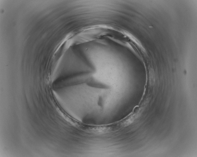 X0000080181193200612221308