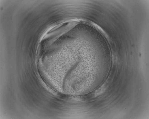 X0000080181194200612221308