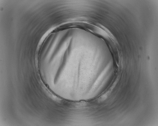 X0000080181196200612221308