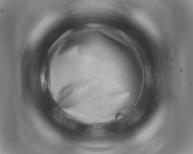 X0000080181198200612221308