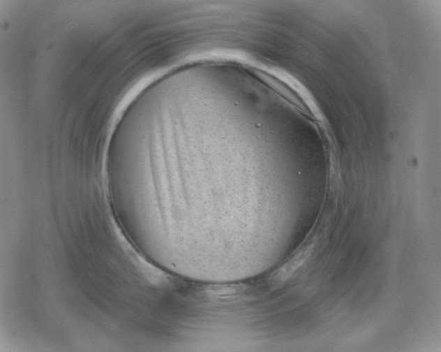 X0000080181199200612221308