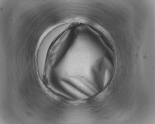 X0000080181200200612221308