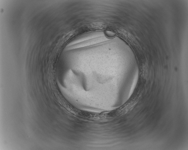 X0000080181201200612221307