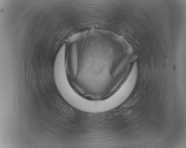 X0000080181202200612221307