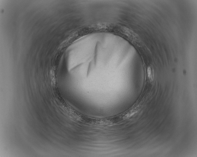 X0000080181203200612221307