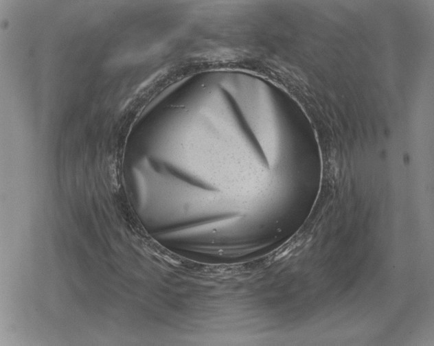 X0000080181205200612221307