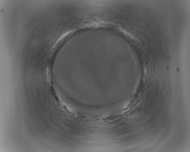 X0000080181206200612221307