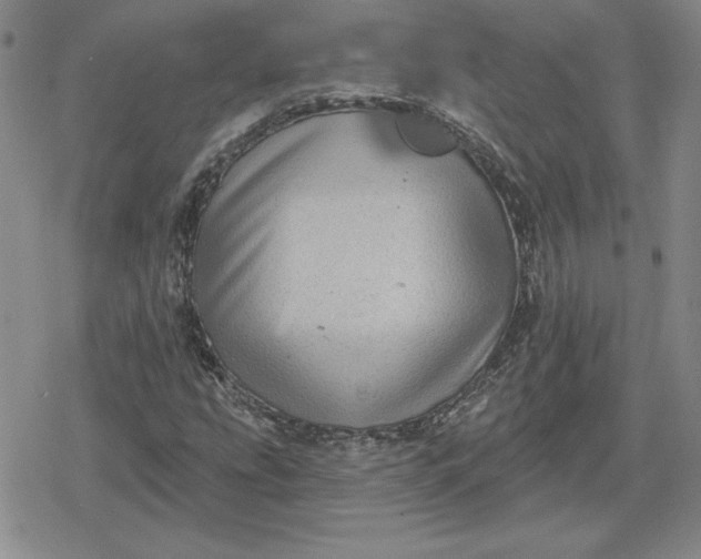 X0000080181207200612221307